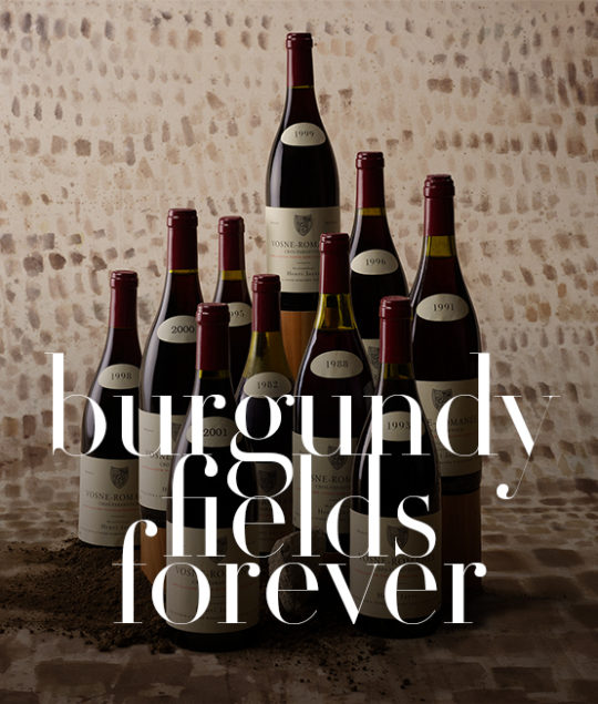 Toplots in “48 x Burgundy” - Baghera/Blog